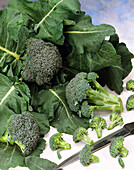 Brassica oleracea var. italica