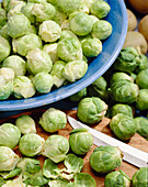 Brassica oleracea var. gemmifera