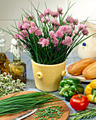 Allium schoenoprasum