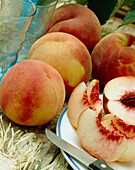 Prunus persica Aurellia peaches