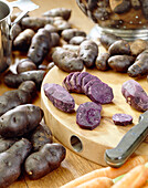 Solanum tuberosum Russisch Blau