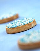 Blue and white biscuit