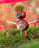 Chestnut man