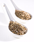 Anethum graveolens- dill seeds