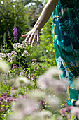 Woman walking beside astrantia flowers