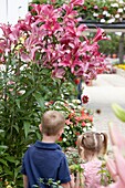 Children beside tree lilies