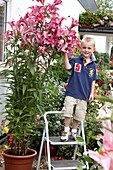 Boy beside tree lilies