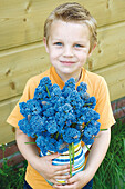 Boy holding grape hyacinths