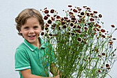 Junge hält Coreopsis