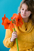 Hippeastrum Orange Souvereign