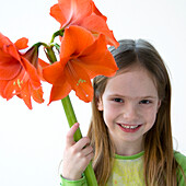 Hippeastrum Orange Souvereign