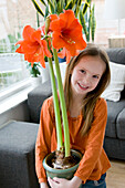 Hippeastrum Orange Souvereign