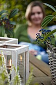 Viburnum auf dem Gartentisch