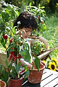 Boy planting vegetable plants