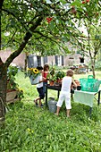 Children planting vegetable plants