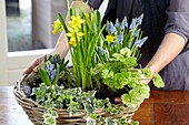 Making floral spring arrangement