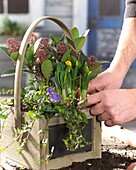 Planting spring container
