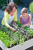 Woman and child touching herbs