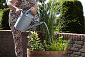 Frau bewässert Pflanzen