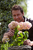 Man planting Hydrangea