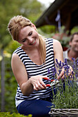 Frau schneidet Lavendel