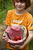 Picking strawberries