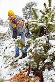 Cutting christmas tree