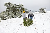 Pärchen mit Weihnachtsbaum