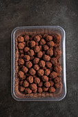 Chocolate truffles with cocoa powder