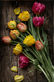 Orange, gelbe und rote Tulpen (Tulipa) im Strauß liegend auf Holzboden