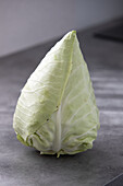 Green pointed cabbage