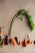 Small carrots in various shapes arranged in a row