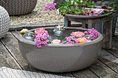 Schwimmteich mit Blüten im Wasser, Hohe Flammenblume (Phlox), Rosen (Rosa) und Windlichter