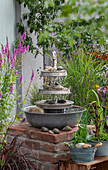 Wasserspiel Etagere, aus alten Zinkschüsseln selber gebaut, neben Gewöhnlichem Blutweiderich (Lythrum salicaria), Sumpf-Schwertlilie und Flatter-Binse