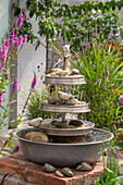 Wasserspiel Etagere, aus alten Zinkschüsseln selber gebaut, neben Gewöhnlichem Blutweiderich (Lythrum salicaria), Sumpf-Schwertlilie und Flatter-Binse