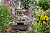 Wasserspiel Etagere, aus alten Zinkschüsseln selber gebaut, neben Gewöhnlichem Blutweiderich (Lythrum salicaria), Sumpf-Schwertlilie und Flatter-Binse