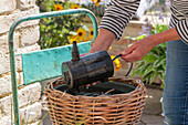 Pflanzkorb für Teich mit Wasserspiel selber bauen, Springbrunnen Fertigbild 13938576