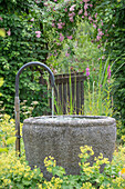 Gartenbrunnen vor Kletterrose, Ramblerrose (Rosa) 'Kirschrose', Hainbuche (Carpinus Betulus) und  Frauenmantel (Alchemilla mollis) im Garten