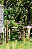 Rose arch with flowering climbing roses in the sunny garden