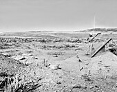 Archaeologist working on site