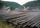 Wetting wood logs
