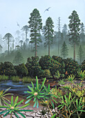 Cretaceous plants, illustration