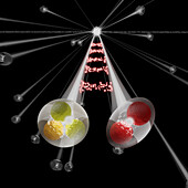 Proton-phi interaction at LHC