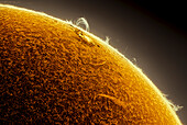 Arching solar prominence