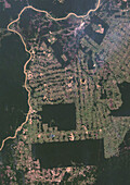 Deforestation in Rondonia, Brazil in 2022, satellite image