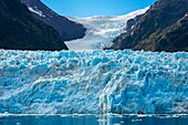 Amalia Glacier, Chile