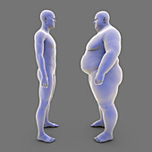 Average weight person and overweight person, illustration