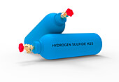 Canister of hydrogen sulphide gas