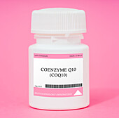 Container of coenzyme q10