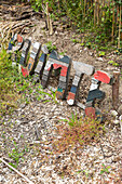 Colourfully painted wooden sign in a natural garden